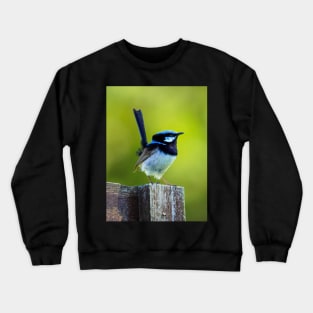 Australian Superb Fairy-Wren Crewneck Sweatshirt